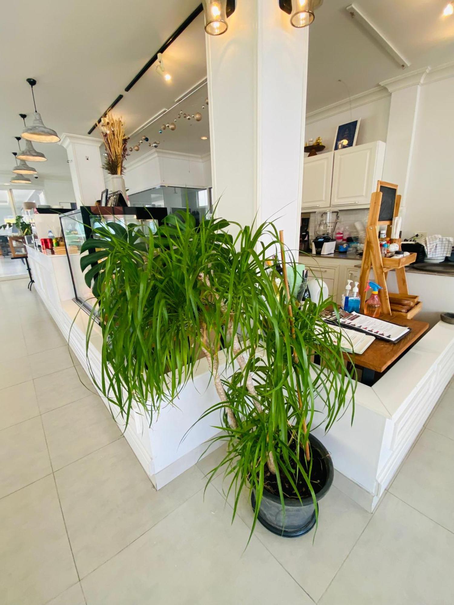 Forget Me Not Boutique Bed & Breakfast Хуахін Екстер'єр фото
